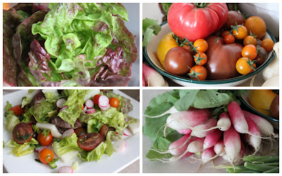 Lettuce, Organic Heirloom Tomatoes, Farmer's Market Salad and Radishes Lettuce, Organic Heirloom Tomatoes, Farmer